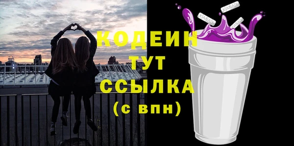 трава Гусиноозёрск