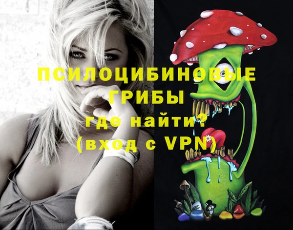 трава Гусиноозёрск