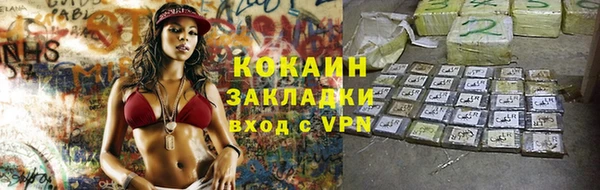 трава Гусиноозёрск