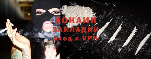 трава Гусиноозёрск