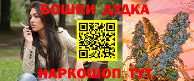 мдпв Новоалександровск