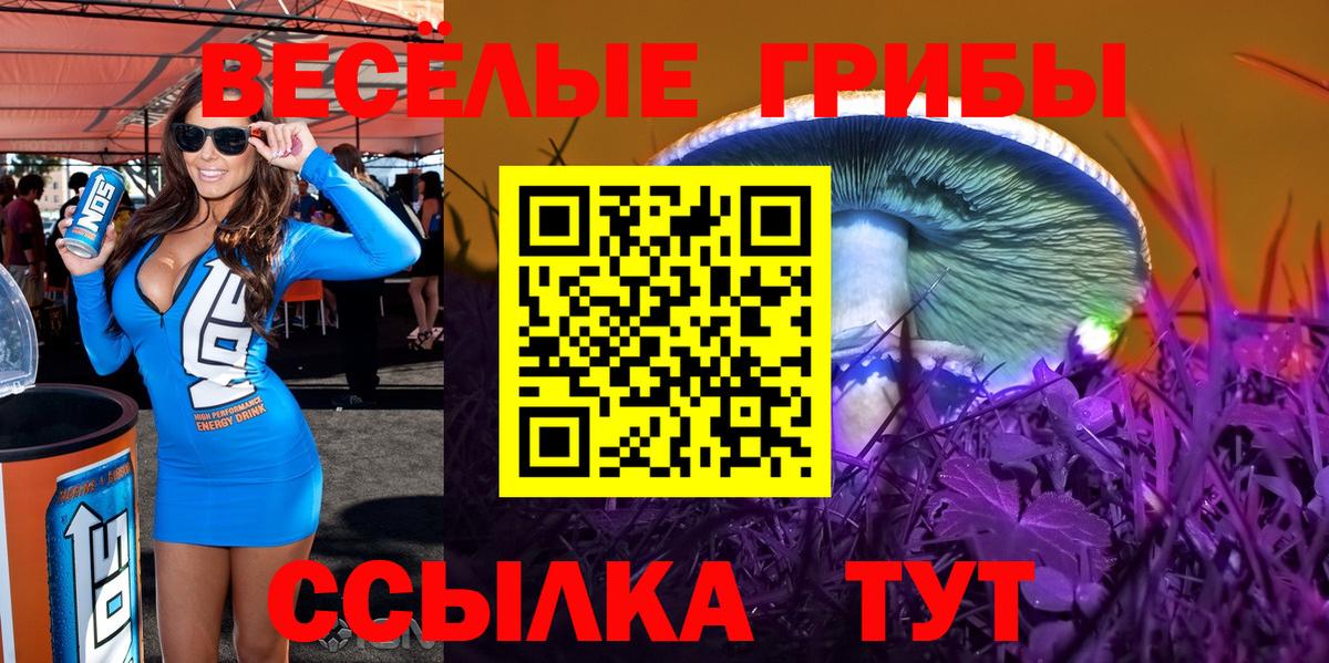 Галлюциногенные грибы GOLDEN TEACHER Мценск