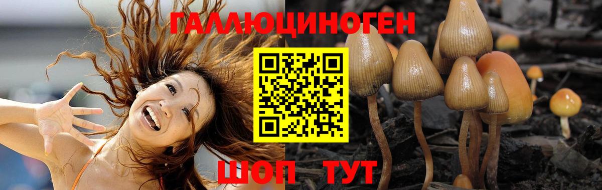 Мефедрон кристаллы  Мценск  Продажа наркотиков  Метамфетамин  Вход с VPN  COCAIN  Бошки Шишки 